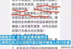 武汉法院爆料案件最新