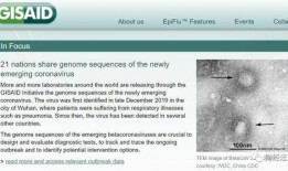 美国病毒爆料最新消息,最新疫情动态与专家解读汇总