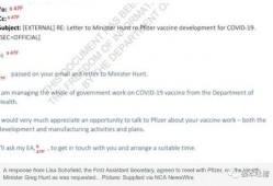 辉瑞高管爆料最新消息,疫苗研发进展及市场策略大揭秘