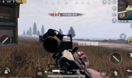 最新体验服刺激战场爆料,全新玩法与优化来袭，带你领略战场新风貌