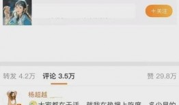 杨爸最新消息爆料,揭秘明星幕后故事
