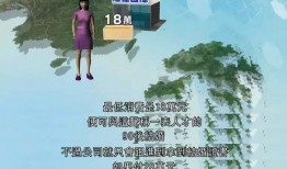 香港婚姻爆料网站大全最新