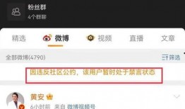 吃瓜王最新爆料视频,最新爆料视频深度解析