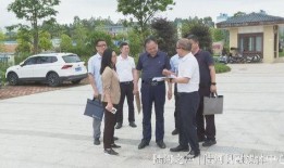 陆河新闻爆料事件始末最新消息,最新进展与始末回顾