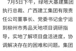 柳州烂尾爆料最新消息,揭秘背后真相与后续处理措施