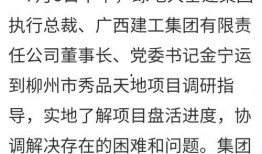 柳州烂尾爆料最新消息,揭秘背后真相与后续处理措施