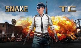 壮哥爆料吃鸡视频大全最新,吃鸡视频大全，精彩瞬间一网打尽！