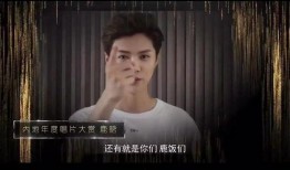 刘翰东爆料视频大全集最新,揭秘事件背后真相与内幕