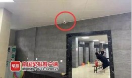 广西王女士最新爆料,揭秘惊人内幕！