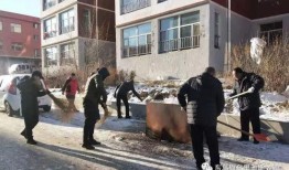 乌里雅斯太镇最新爆料,揭秘神秘事件背后的真相