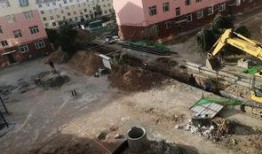 乌里雅斯太镇最新爆料,揭秘神秘事件背后的真相