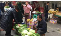 半山小镇爆料最新消息,揭秘神秘事件背后的真相