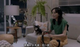 安吉年轻人爆料视频最新,揭秘当地新鲜事