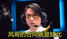 风哥爆料s7资料大全最新,风哥独家爆料，资料大全深度解析