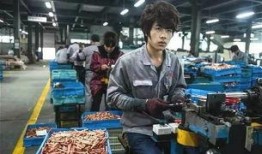 深圳工厂最新人员爆料,最新人员爆料揭示真实工作环境