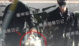 妖怪爆料黄晓明和叶珂最新动态,甜蜜互动引网友热议