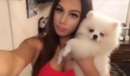 林培传媒最新爆料视频