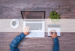 金星节目最新爆料