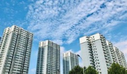 广东微城最新爆料,揭秘神秘项目背后的惊人真相！