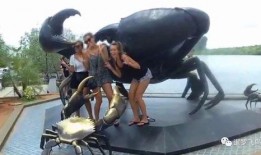 泰国游客爆料视频大全最新,最新视频大全揭秘异国风情与真实生活