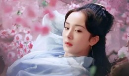 傅人传最新爆料是哪一集,第XX集爆出惊人内幕！