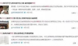 小学生最新爆料事件视频,揭秘校园事件背后的真相