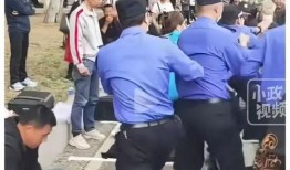 城管爆料视频完整版最新,城市治理背后的真相与挑战