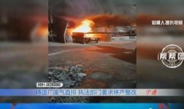 最新爆料工厂视频大全集,最新爆料视频大全集深度解析