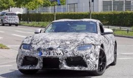 supra最新爆料,supra最新爆料，带你一探究竟！