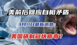 美国病毒爆料最新消息,最新疫情动态与专家解读汇总