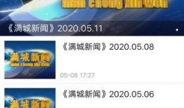 平舆融媒最新爆料,最新爆料事件深度解析