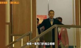 澳门公关爆料视频最新,揭秘幕后真相