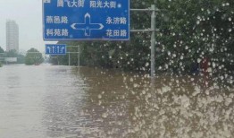 涿州洪水最新爆料新闻报道,救援行动紧张进行，受灾情况持续更新