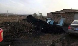 兰陵代村最新爆料事件,揭秘事件背后惊人真相