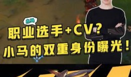 职业选手最新爆料,电竞圈最新动态与幕后故事