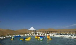 最新沙漠爆料消息新闻视频