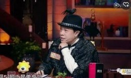 娱乐圈最新爆料许晴小说,娱乐圈再掀波澜，豪门公子与女神的甜蜜邂逅