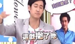 大陆爆料男艺人名单最新,大陆爆料男艺人名单，娱乐圈风云再起