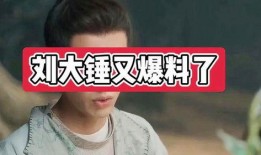 刘大锤最新爆料为你钟情,钟情背后的惊人真相