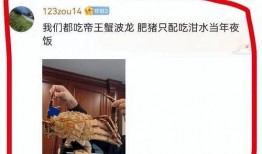 北极鲶鱼最新爆料,揭开神秘势力黑幕