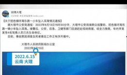 大理爆料最新消息视频,视频揭秘事件真相，详情令人震惊