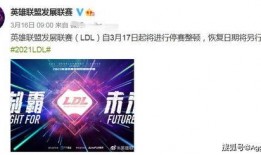 最新爆料官方,揭秘神秘项目背后的惊人真相