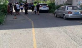 吉林市爆料最新,最新爆料揭示惊人真相