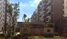 51最新爆料入口地址,独家地址大公开！”