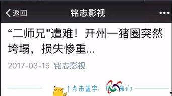 赣州自媒体爆料案件最新,惊天案件背后真相揭晓